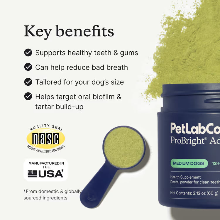 Dental Protect+ - Start Repairing Your Dog's Teeth & Gums Today