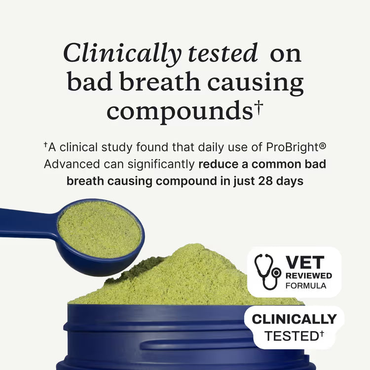 Dental Protect+ - Start Repairing Your Dog's Teeth & Gums Today