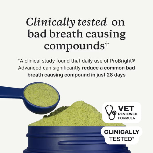 Dental Protect+ - Start Repairing Your Dog's Teeth & Gums Today