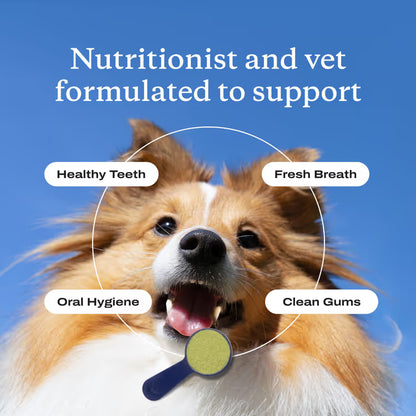 Dental Protect+ - Start Repairing Your Dog's Teeth & Gums Today