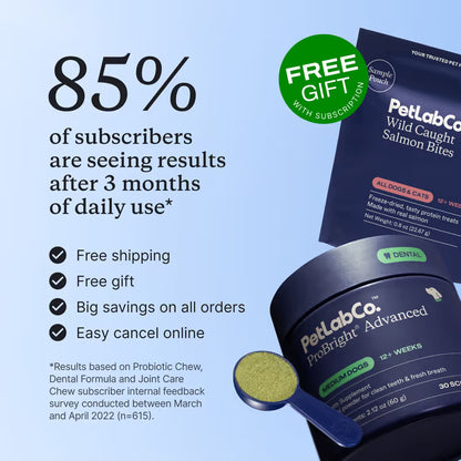 Dental Protect+ - Start Repairing Your Dog's Teeth & Gums Today