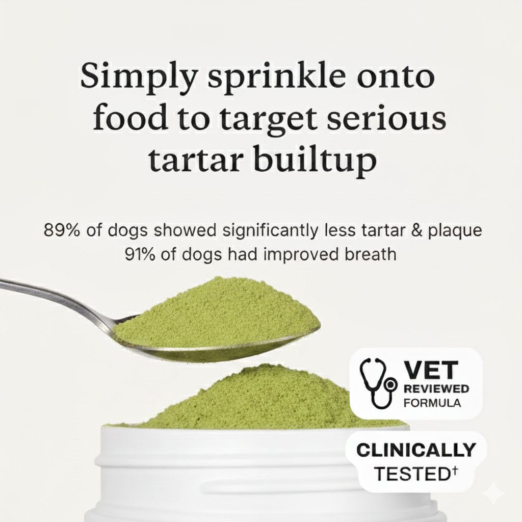 Dental Protect+: Protect your dog from tooth decay and dental emergencies