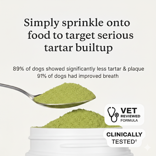 Dental Protect+: Protect your dog from tooth decay and dental emergencies