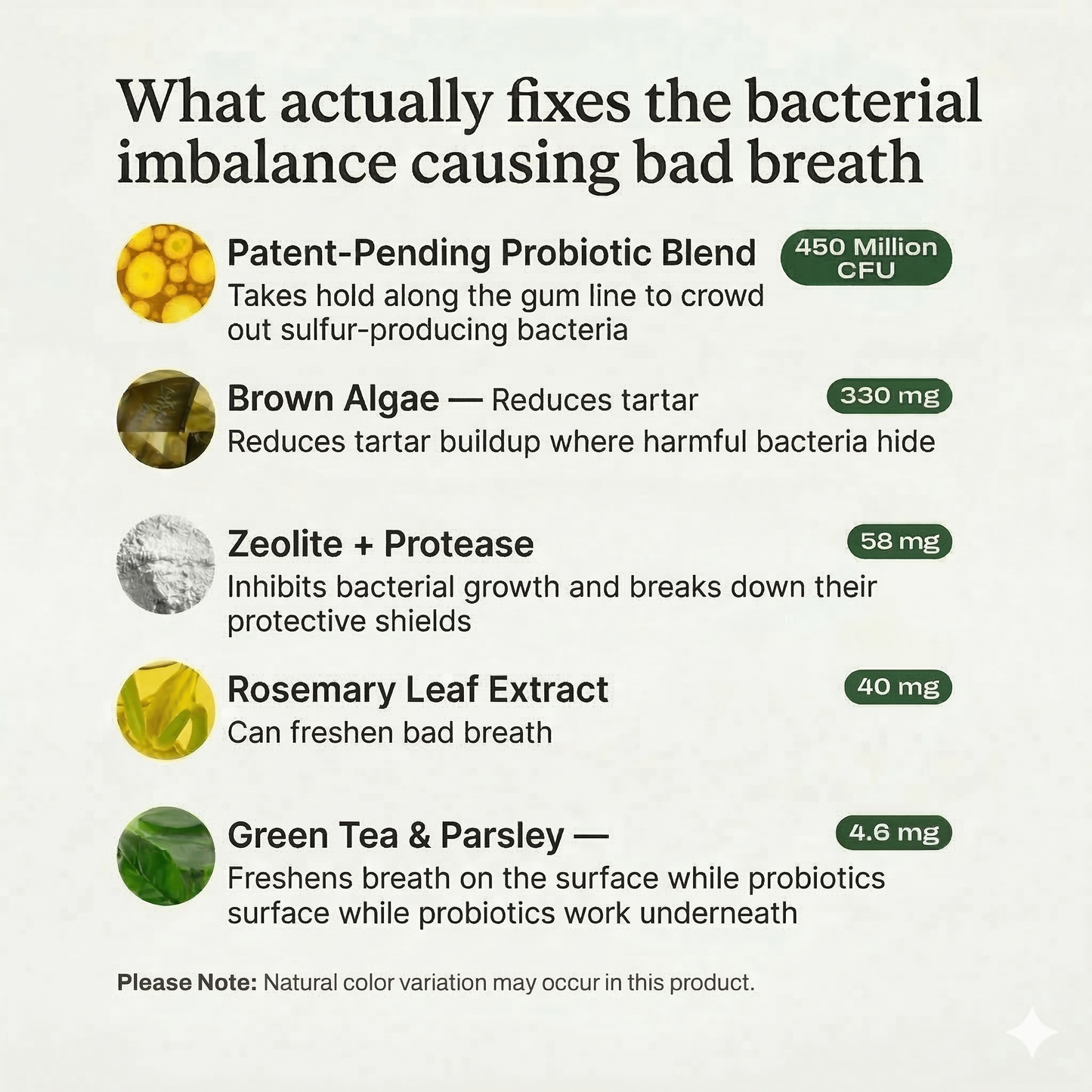 Dental Protect+: Cuddle Your Dog Without Holding Your Breath Again