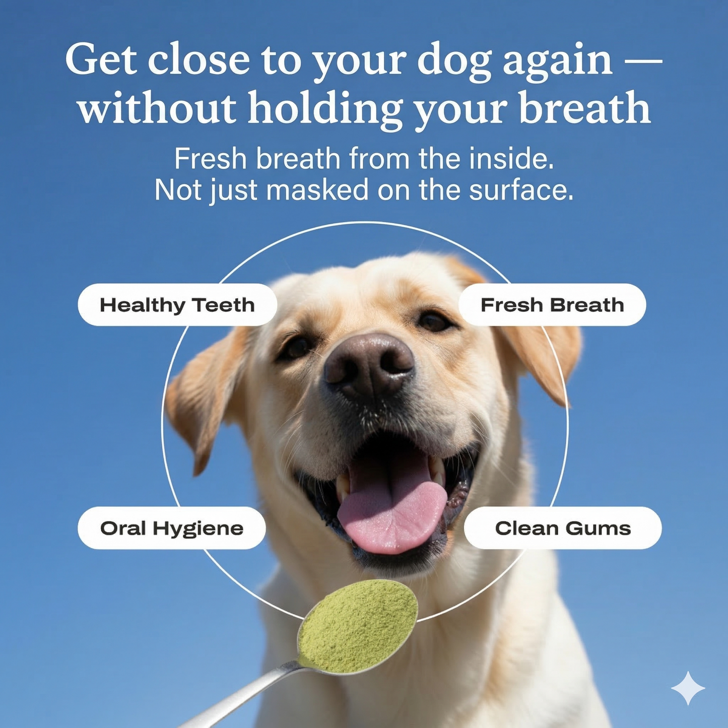 Dental Protect+: Cuddle Your Dog Without Holding Your Breath Again
