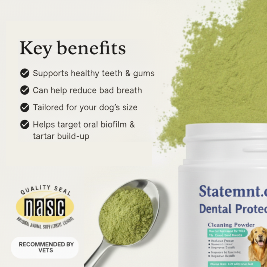 Dental Protect+: Protect your dog from tooth decay and dental emergencies