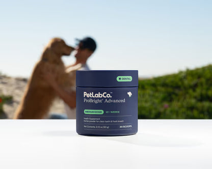 Dental Protect+ - Start Repairing Your Dog's Teeth & Gums Today